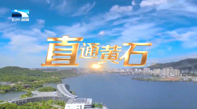 直通黄石 | 楚商聚力建支点 开启高质量发展新征程