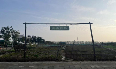 襄阳东津：资源下沉激活基层治理新动能 绘就民生幸福新图景