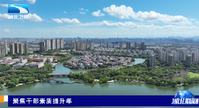 聚焦干部素质提升年 | 天门：“走出去”学经验 “沉一线”练本领