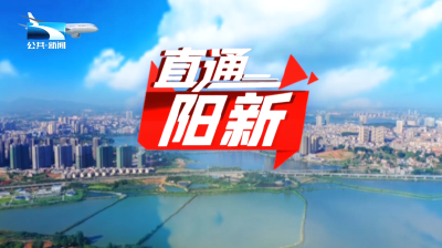 直通阳新 | “三个机制”全周期护航 推动项目落地见成效