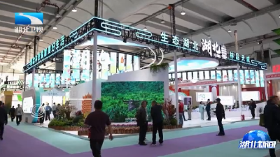 湖北林业首次出省招商推介 签约金额超百亿