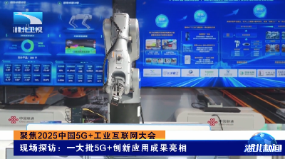 聚焦2025中国5G+工业互联网大会 | 现场探访：一大批5G+创新应用成果亮相