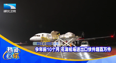 今年前10个月 花湖机场进出口快件超百万件
