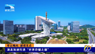 牢记嘱托 建成支点丨湖北加速打造“世界存储之都”