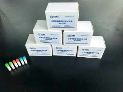 湖北省农科院水稻育种项目斩获国家级双料大奖