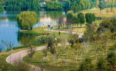 太硬核了！葛店“双十一”成绩单揭晓