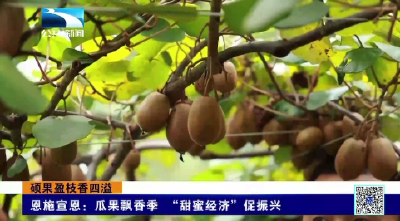 恩施宣恩：瓜果飘香季 “甜蜜经济”促振兴