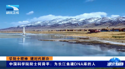 学院士精神 建时代新功 | 中国科学院院士何舜平：为长江鱼建DNA库的人