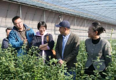 大国小村｜这个村的“党建+”模式太牛了