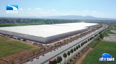 陈平在麻城调研时强调 推动产业深度融合 夯实县域发展根基