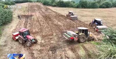 全国冬小麦播种过八成 各地抢抓农时推进秋冬种