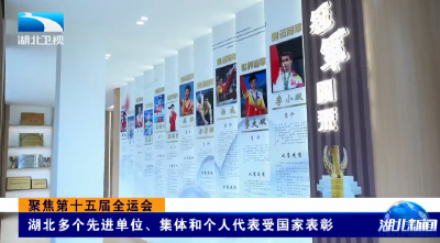 聚焦第十五届全运会 | 湖北多个先进单位、集体和个人代表受国家表彰