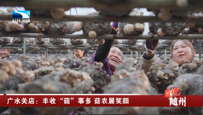 广水关店：丰收“菇”事多 菇农展笑颜