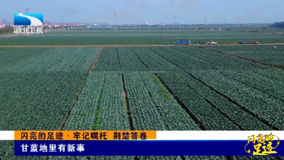 闪亮的足迹·牢记嘱托 荆楚答卷 | 甘蓝地里有新事