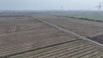 荆州江陵：高标准农田全域覆盖 亩均增收20%