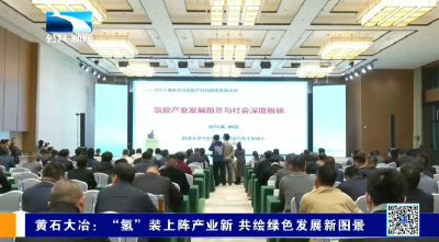 黄石大冶：“氢”装上阵产业新 共绘绿色发展新图景