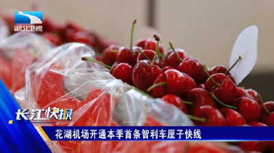 花湖机场开通本季首条智利车厘子快线