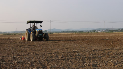 襄阳宜城：“良种良机良技”齐发力 绘就乡村振兴新篇章