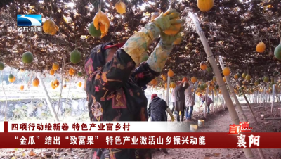 襄阳南漳：“金瓜”结出“致富果” 特色产业激活山乡振兴动能
