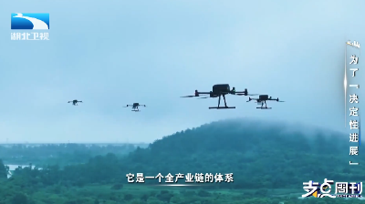 为了“决定性进展” | 支点面对面：就业“长”在产业上 产业之兴在人才