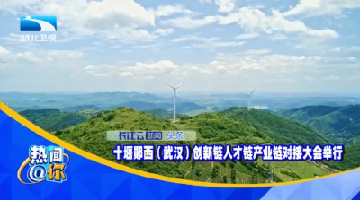 十堰郧西（武汉）创新链人才链产业链对接大会举行