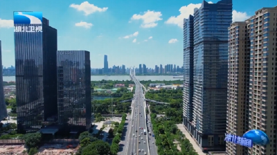 2025年11月5日湖北新闻