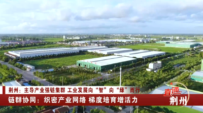 荆州：链群协同 织密产业网络 梯度培育增活力