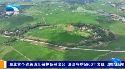 湖北首个省级遗址保护条例出台 法治守护5900年文脉