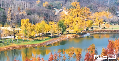 评分秋色：随州为啥被称为“杏”运城市？