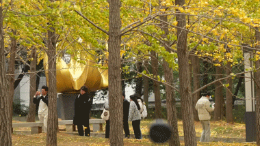 武汉的风有多大？我是被“推”来上班的！