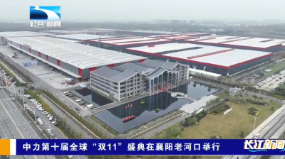 中力第十届全球“双11”盛典在襄阳老河口举行