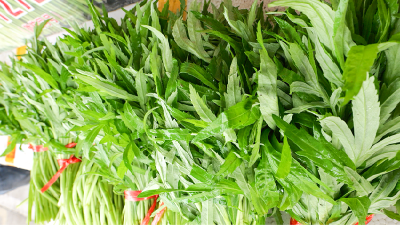 以城为媒 联农共兴——千亿首衡城“链”活湖北农业