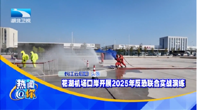 花湖机场口岸开展2025年反恐联合实战演练