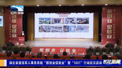 湖北省退役军人事务系统“抓创业促就业”暨“1031”行动在汉启动