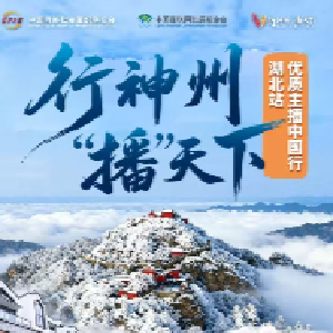 “行神州‘播’天下——优质主播中国行”湖北站活动启动