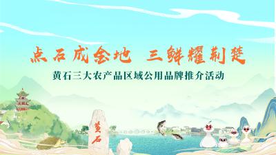 点石成金地 三鲜耀荆楚｜黄石三大农产品区域公用品牌推介活动