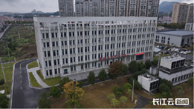 远安：打造县域特色精神卫生服务体系 切实筑牢平安建设基层防线