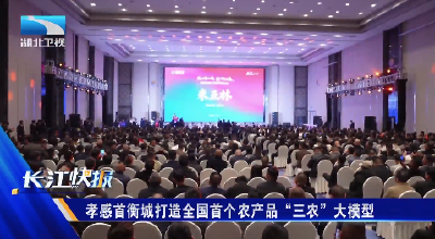 孝感首衡城打造全国首个农产品“三农”大模型