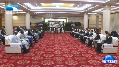 陈平会见出席2025中非创新合作与发展论坛重要外宾