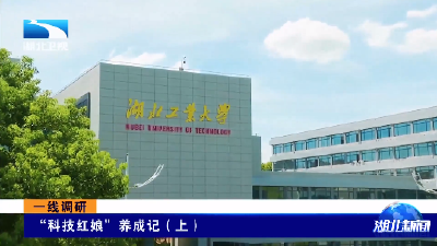 一线调研丨“科技红娘”养成记（上）