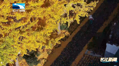 2025年11月25日长江新闻