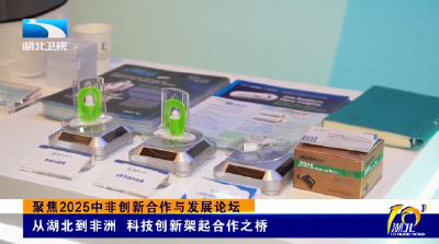 聚焦2025中非创新合作与发展论坛 | 从湖北到非洲 科技创新架起合作之桥