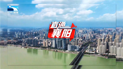 直通襄阳 | 四项行动绘新卷 特色产业富乡村