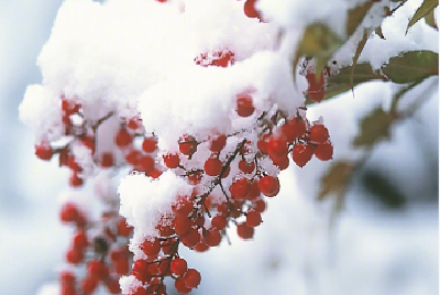 小雪养生“划重点”