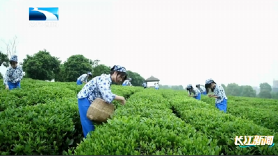 2025年11月12日长江新闻