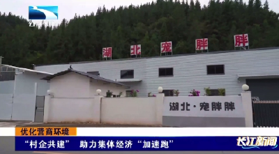 “村企共建” 助力集体经济“加速跑”