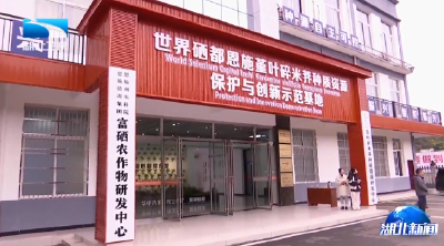 王艳玲赴恩施州调研人大工作