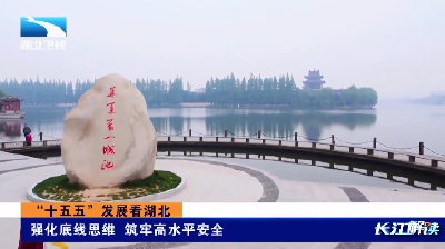 “十五五”发展看湖北 | 强化底线思维 筑牢高水平安全