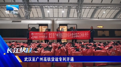 武汉至广州高铁货运专列开通