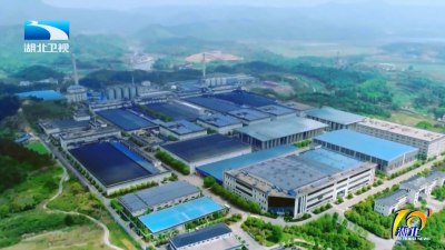 2025年11月25日湖北十分